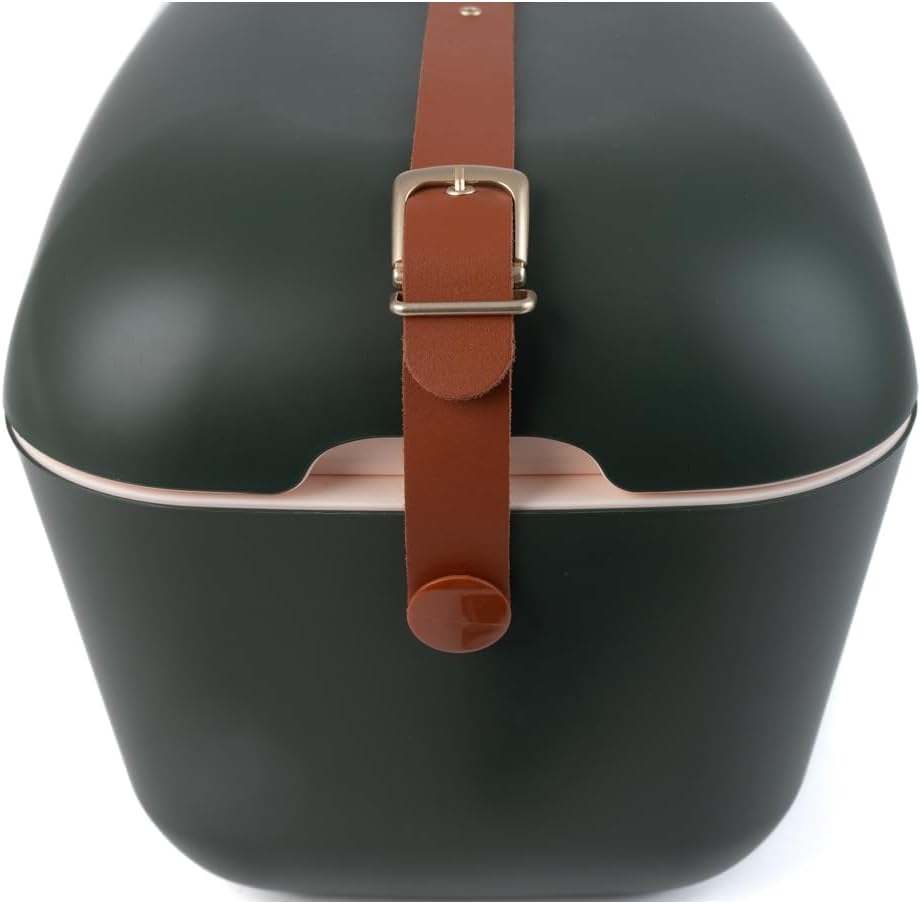 Polarbox Kühlbox Classic Kühltasche Retro Vintage Camping Picknick Strand 20L Green-Frost/Gold