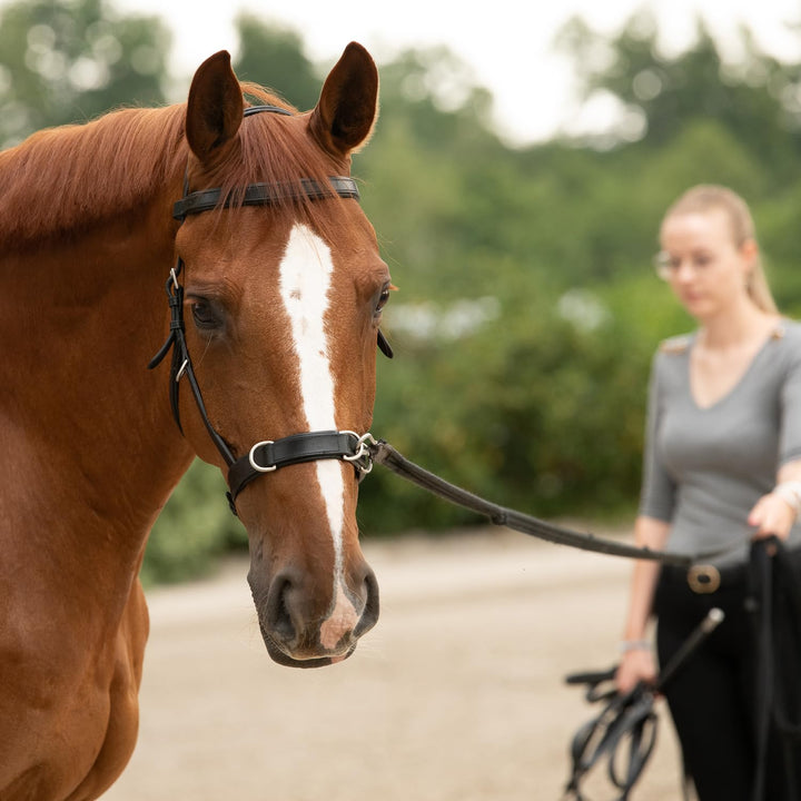SUNRIDE Kappzaum aus Echtleder - mit Zügel - sanfte Führung für eine harmonische Verbindung (Full, s