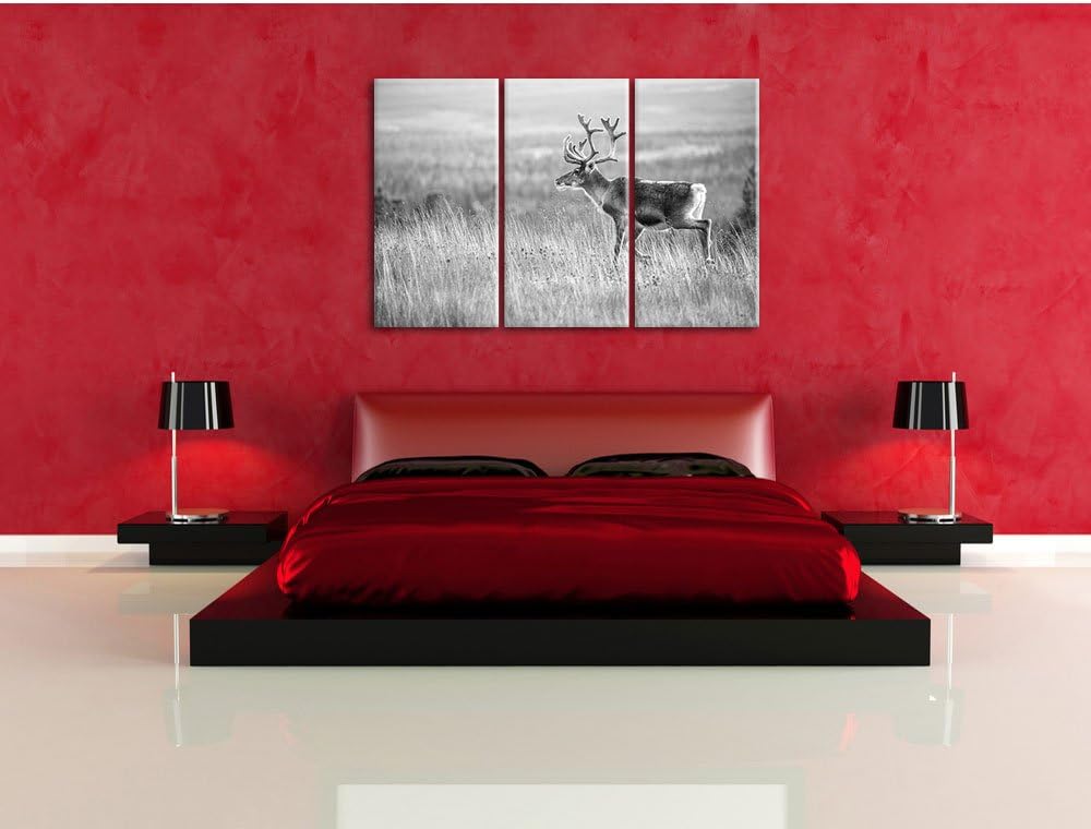 Pixxprint Rentier in Norwegen Kunst B&W als Leinwandbild/Grösse: 3 Teilig (120x80) / Wandbild/Kunstd