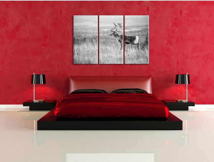 Pixxprint Rentier in Norwegen Kunst B&W als Leinwandbild/Grösse: 3 Teilig (120x80) / Wandbild/Kunstd