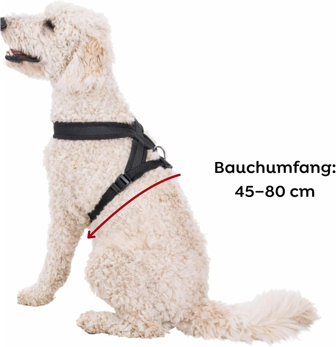 Trixie Premium Geschirr mit Fleecepolsterung, M: 45–80 cm/25 mm, Schwarz schwarz M: 45 80 cm/25 mm,