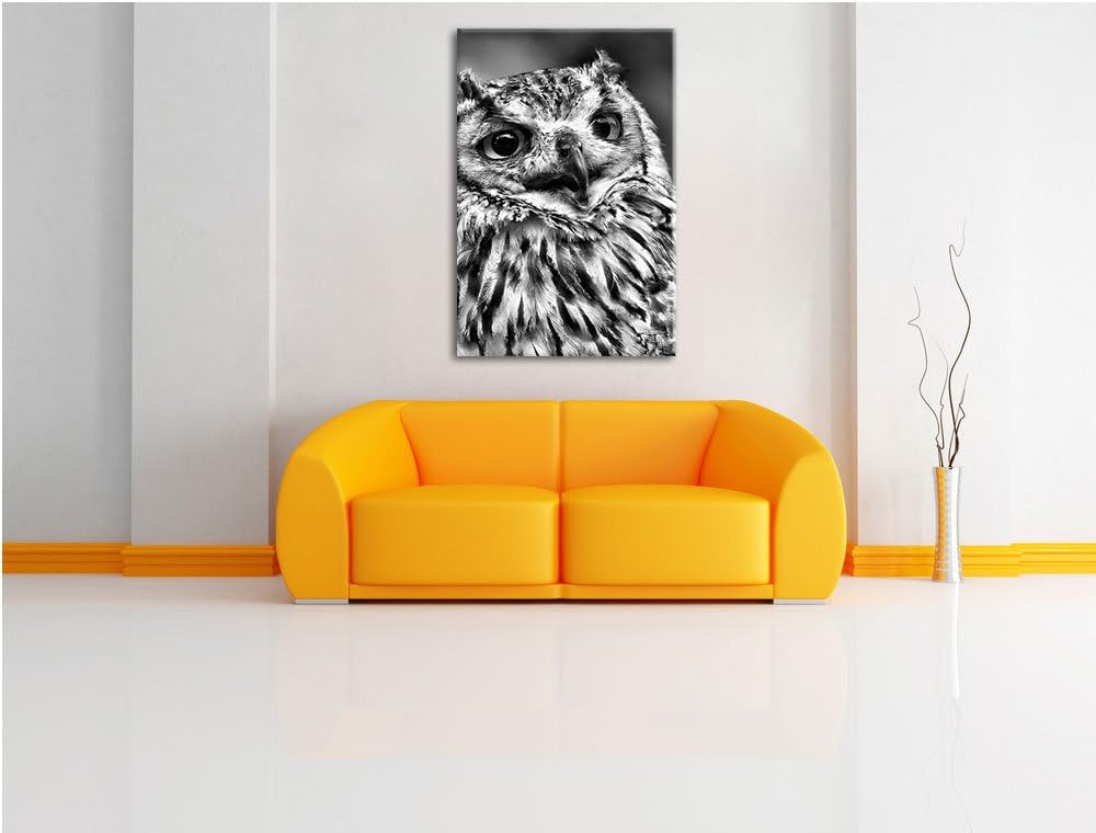 Pixxprint Monocrome, sehr müde Waldeule, Format: 100x70 auf Leinwand, 100x70