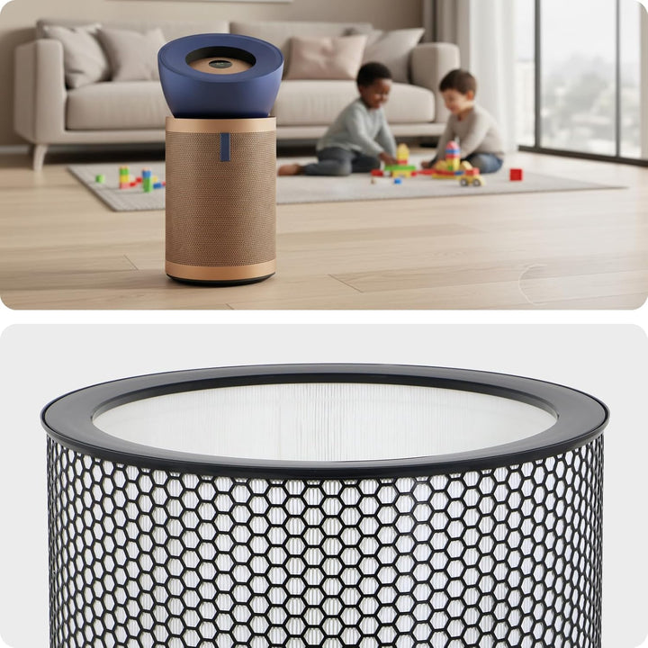 DYSON Big & Quiet Luftreinigerfilter BP03 BP04 BP06 True HEPA