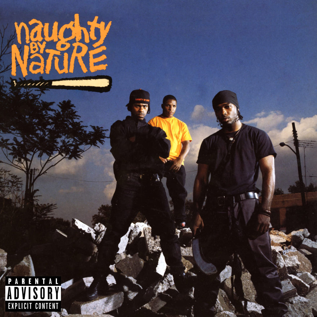 Naughty By Nature  explicit_lyrics, Vinyl