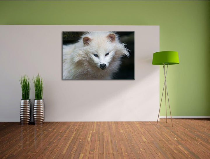 Pixxprint Kleiner Polarfuchs auf Leinwand, XXL riesige Bilder fertig gerahmt mit Keilrahmen, Kunstdr