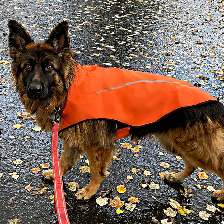 Mile High Life Hunderegenmantel Einstellbare wasserdichte Haustierkleidung Leichte Regenjacke mit re