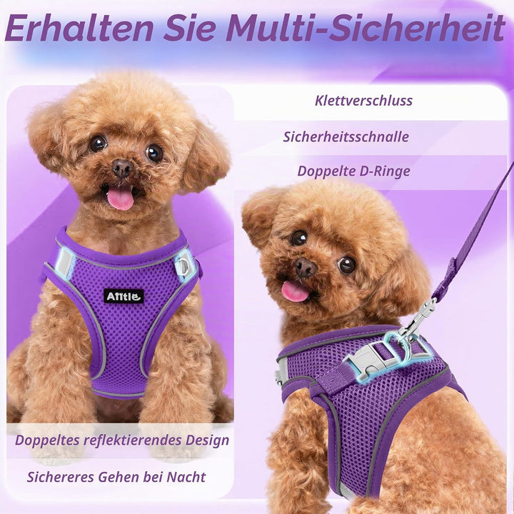 AIITLE Bequemes Hundegeschirr und Leine Set zum Gassi gehen - Step in Vest Harness, Reflektierende B