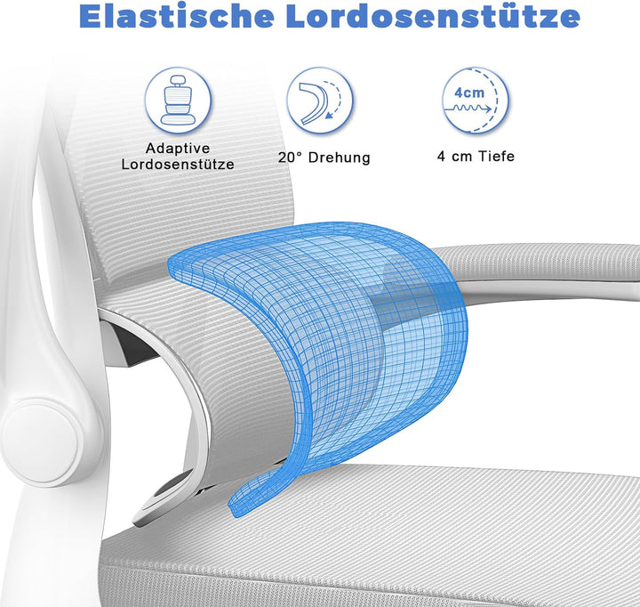 naspaluro Ergonomischer Bürostuhl, Schreibtischstuhl mit C-förmiger Lordosenstütze, verstellbarer Ko