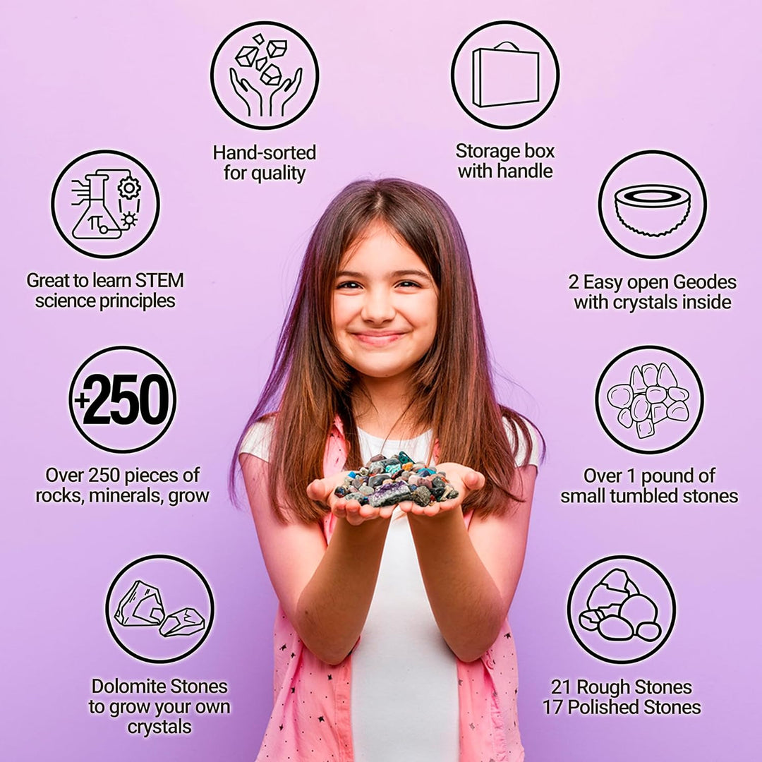 Dancing Bear's Rocks and Minerals Rock & Mineral Collection Kit mit 2 Easy Pause Geodes Activity Kit
