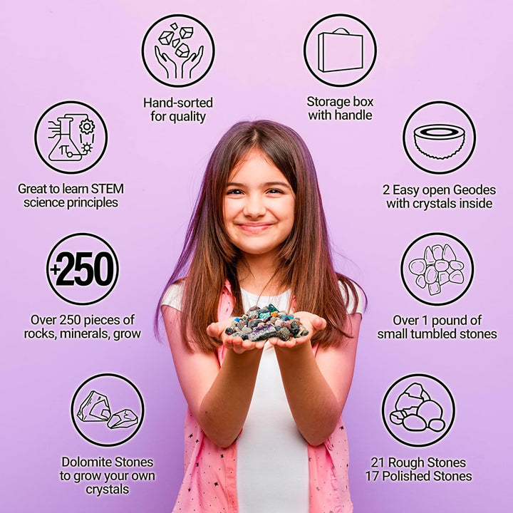 Dancing Bear's Rocks and Minerals Rock & Mineral Collection Kit mit 2 Easy Pause Geodes Activity Kit