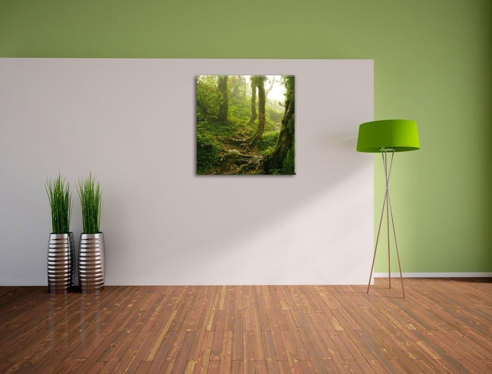 Unberührter Regenwald, Format: 70x70 auf Leinwand, XXL riesige Bilder fertig gerahmt mit Keilrahmen,