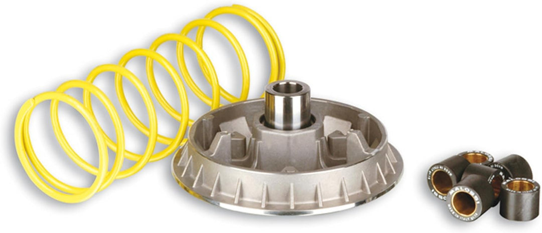 MALOSSI Variator MHR Multivar 2000, für Honda 300 SHI I/SH I Scoopy i.e. (NF02E), 4T LC 23x18mm, 6 R