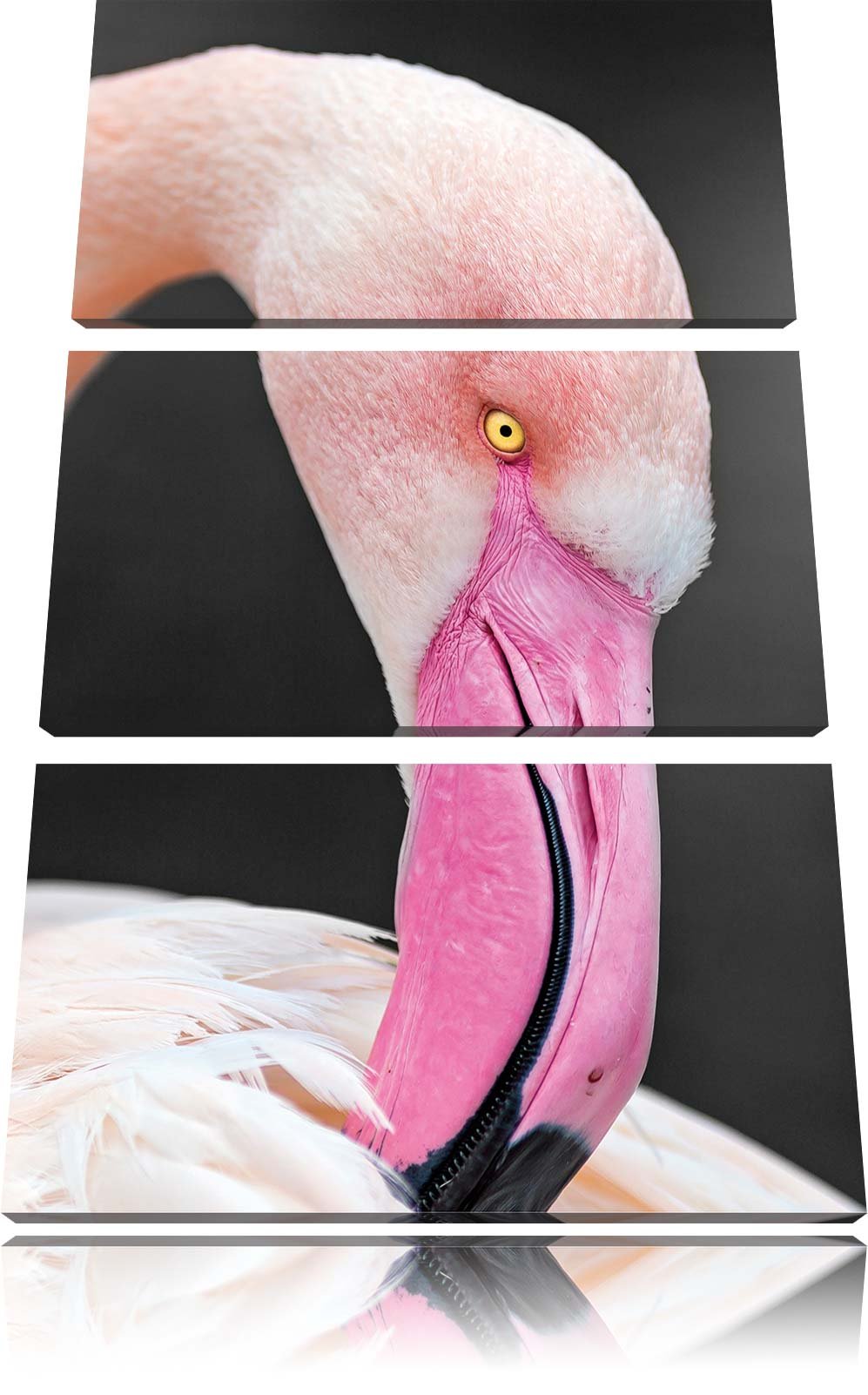 Pixxprint schöner Flamingo putzt Sein Gefieder als Leinwandbild/Grösse: 3 Teilig (120x80) / Wandbild