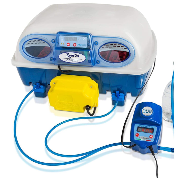 Borotto Real 24 Inkubator, Vollautomatische Ei Wendung für 24 Eier oder 96 kleine Eier, mit Luftbefe