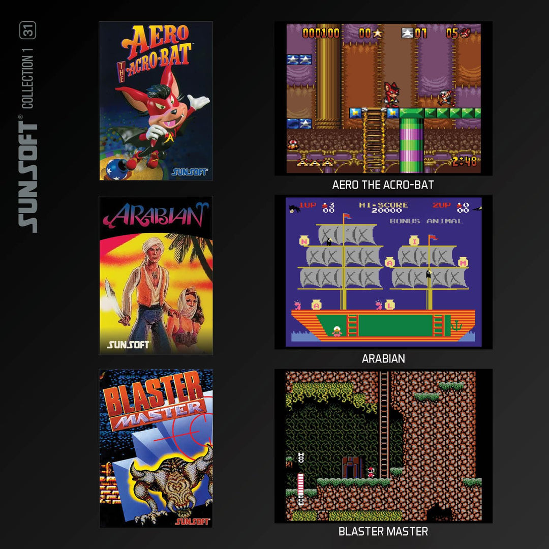 Sunsoft Collection 1 31 Evercade (SP)