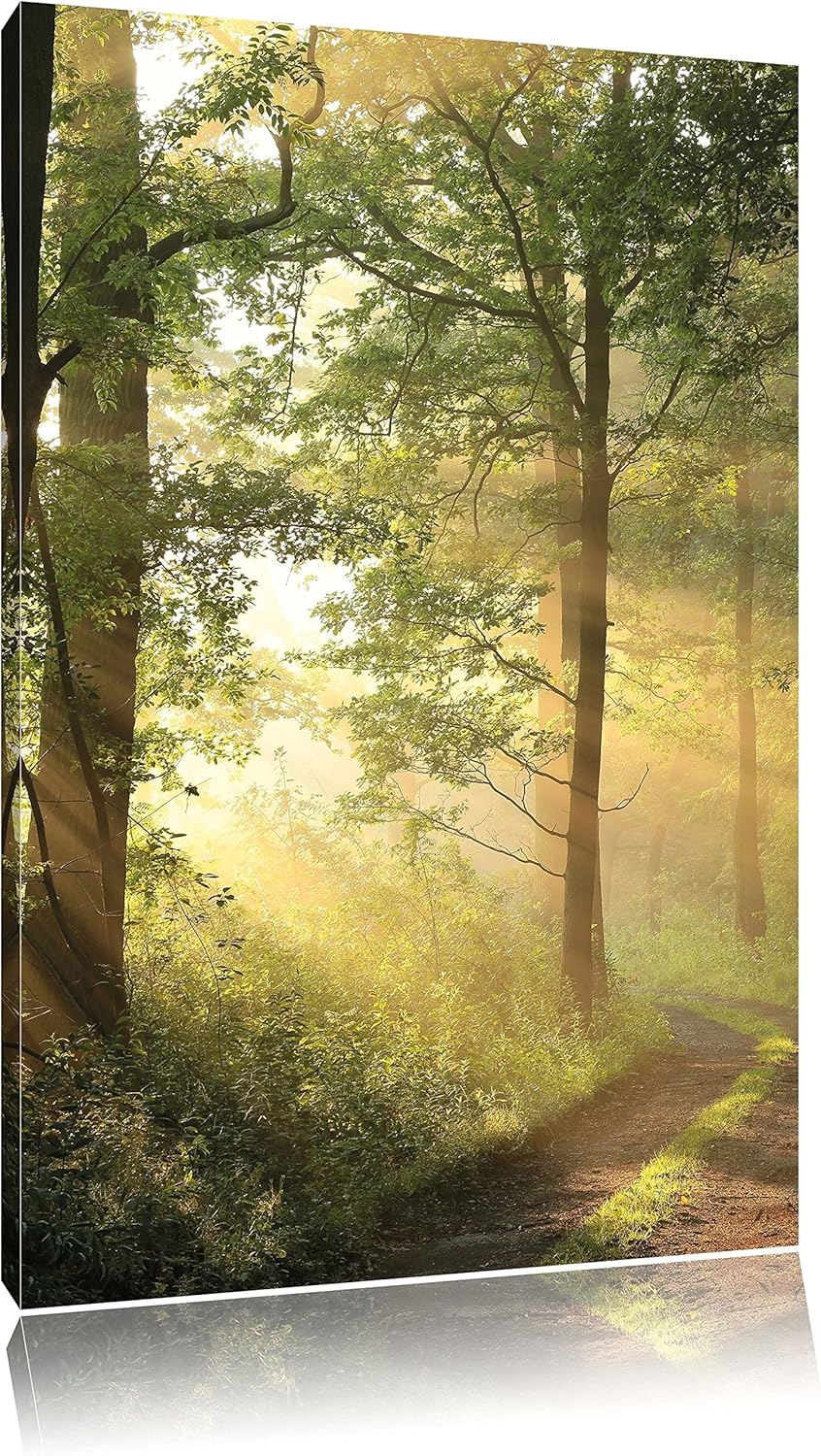 Waldweg im Winter, Format: 100x70 auf Leinwand, XXL riesige Bilder fertig gerahmt mit Keilrahmen, Ku