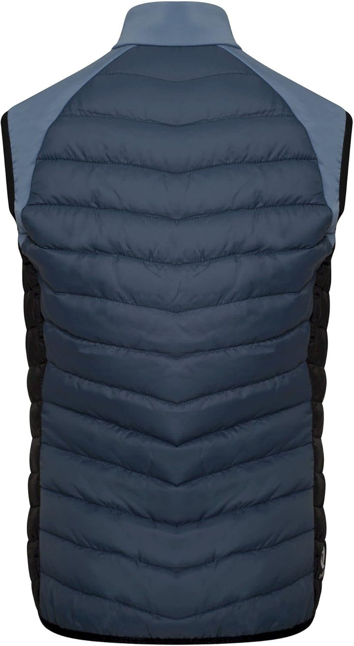 Dare 2b Damen Surmount Ii Vest Jacke 34 Capri Blue / Crystal Seas / Orion Grey