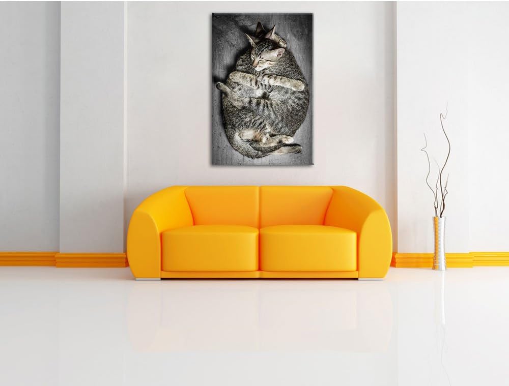 Pixxprint Kuschelnde Katzen als Leinwandbild/Grösse: 100x70 / Wandbild/Kunstdruck/fertig bespannt, 1