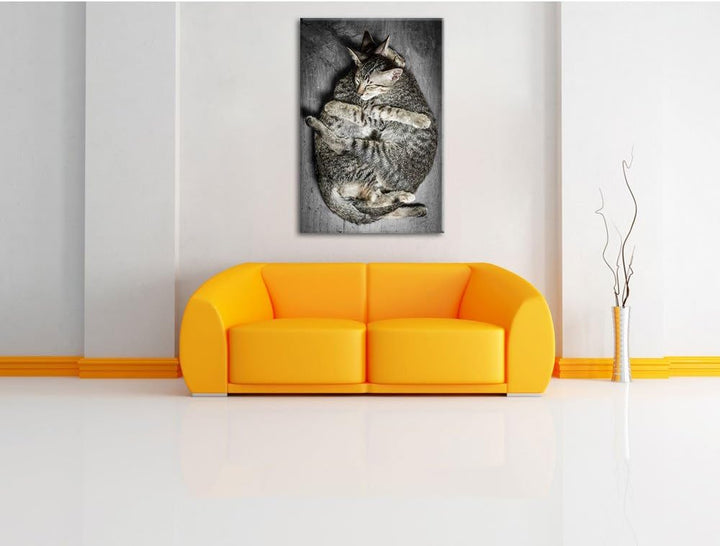 Pixxprint Kuschelnde Katzen als Leinwandbild/Grösse: 100x70 / Wandbild/Kunstdruck/fertig bespannt, 1