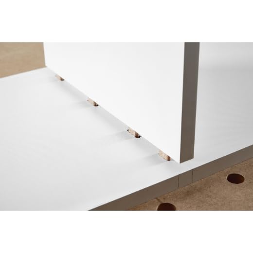 FESTOOL 498218 DOMINO Buche D 14x100/80 BU Pack of 80, Pack of 80