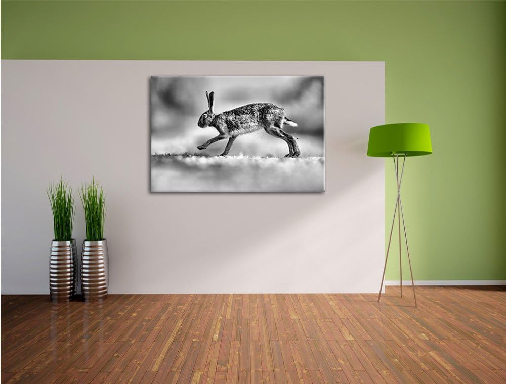 Monocrome, Hüpfender Hase, Format: 100x70 auf Leinwand, XXL riesige Bilder fertig gerahmt mit Keilra