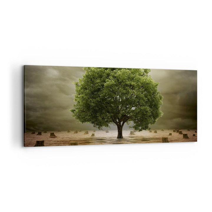 Wandbilder Dekoration Wohnzimmer Baum Feld Umwelt Panorama Bilder auf Leinwand 120x50cm Leinwandbild
