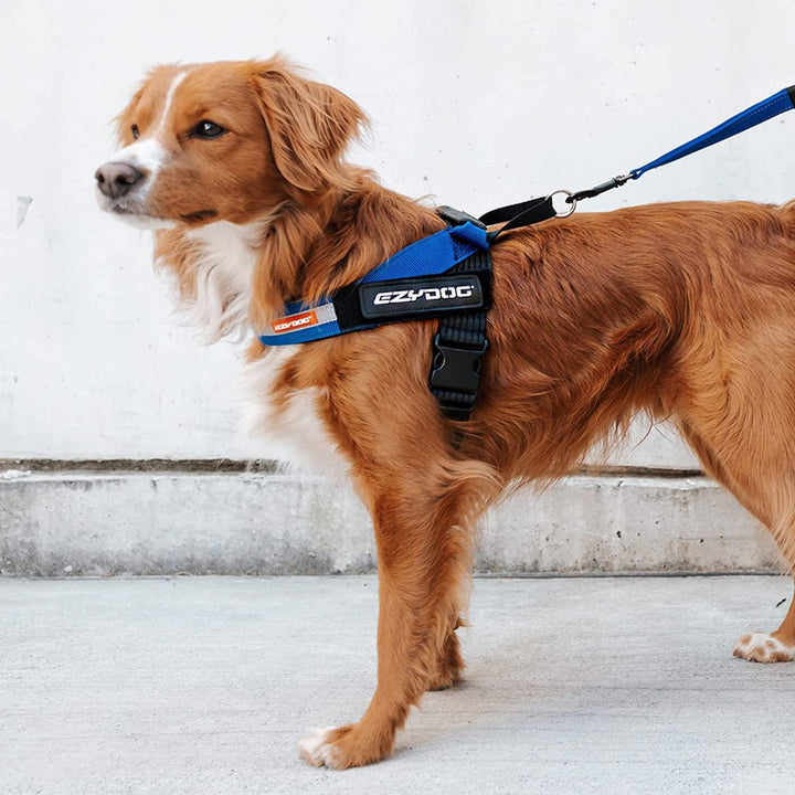 EzyDog Express Hundegeschirr - Norwegergeschirr für Kleine, Mittelgrosse und Grosse Hunde, Reflektie