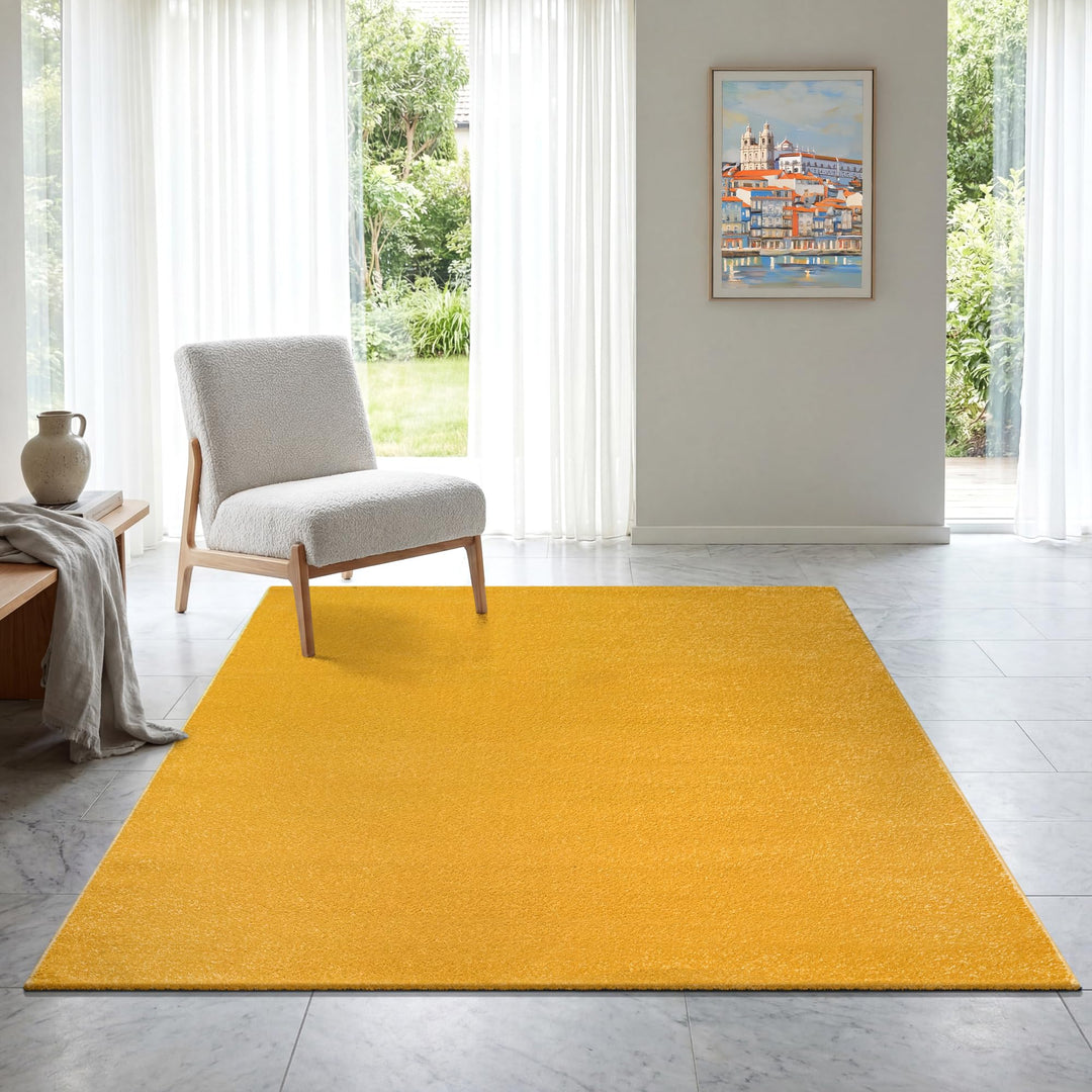 SANAT Kurzflor Teppich Wohnzimmer - Uni Modern Teppiche fürs Schlafzimmer, Arbeitszimmer, Büro, Flur