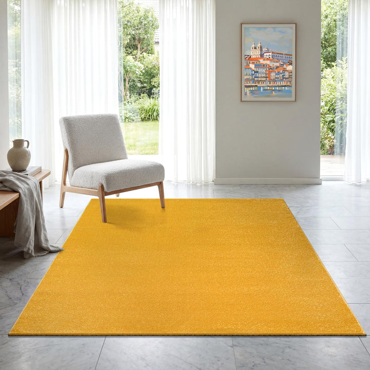 SANAT Kurzflor Teppich Wohnzimmer - Uni Modern Teppiche fürs Schlafzimmer, Arbeitszimmer, Büro, Flur