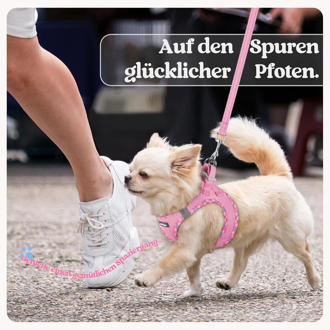rabbitgoo Hundegeschirr Kleine Hunde mit Leine, Step-in Welpengeschirr Weich Mesh für Spaziergänge,