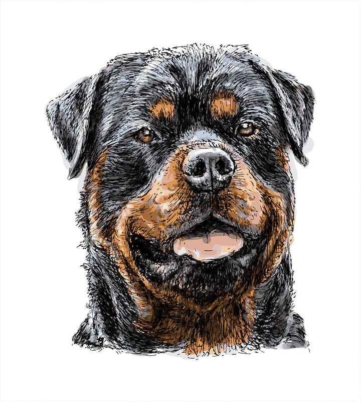 ABAKUHAUS Rottweiler Bettbezugs Set Für Doppelbetten, Hand gezeichnetes Bild von Hund, Milbensicher