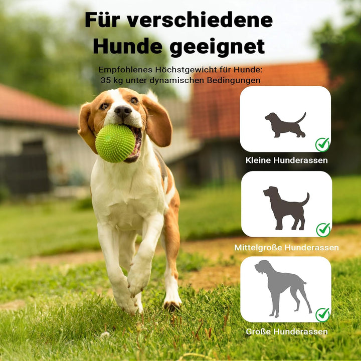 Wiltec Hundewippe 180x30x30cm für kleine & grosse Hunde zum Hundesport z.B. Agility Training, aus Ho