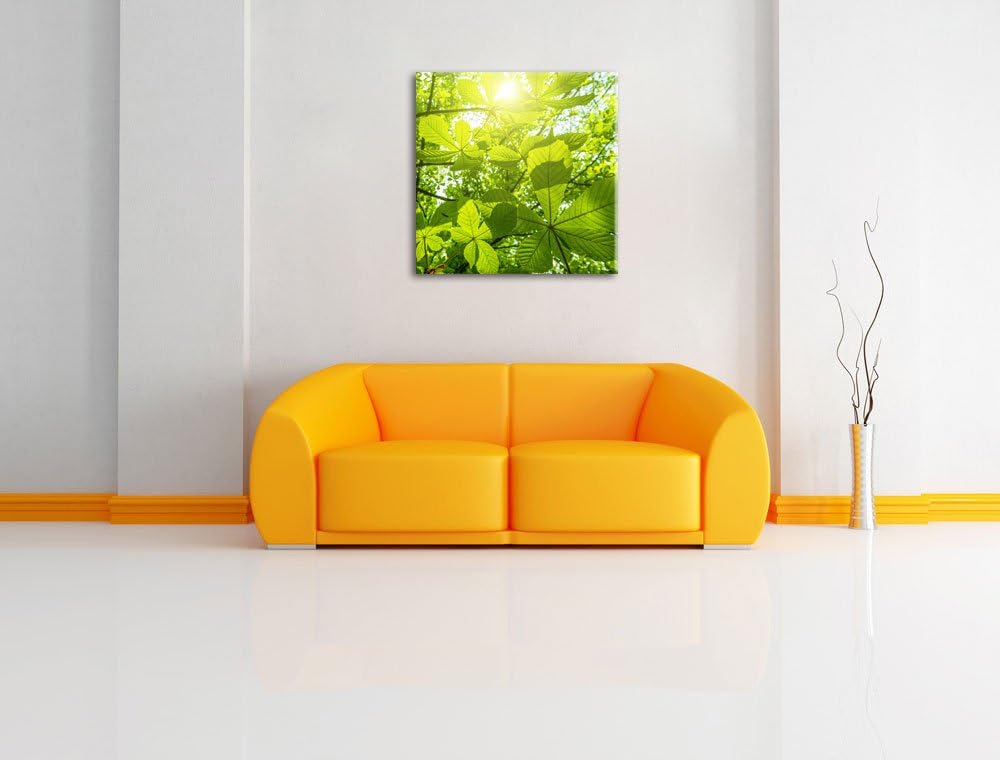 Pixxprint Grüne Blätter, Format: 70x70 auf Leinwand, XXL riesige Bilder fertig gerahmt mit Keilrahme