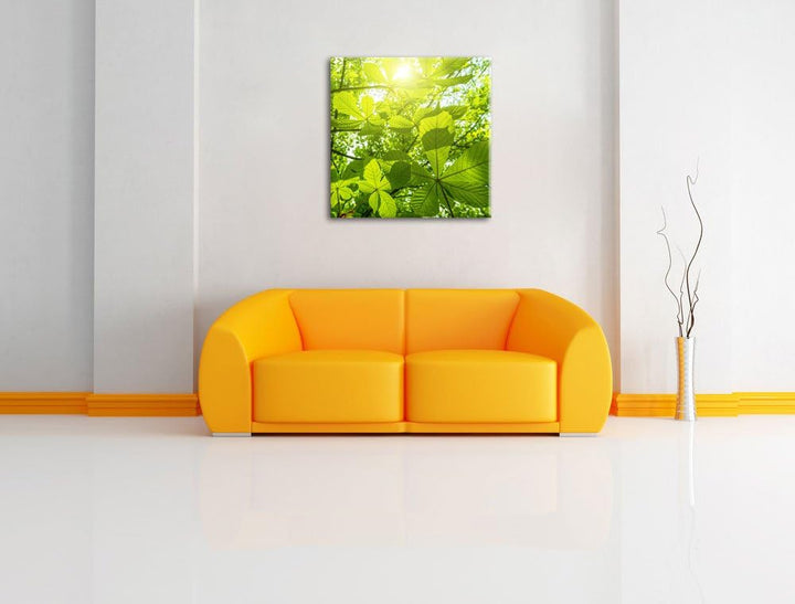 Pixxprint Grüne Blätter, Format: 70x70 auf Leinwand, XXL riesige Bilder fertig gerahmt mit Keilrahme
