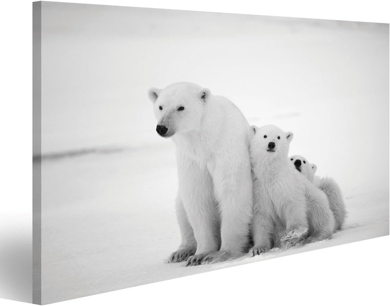 islandburner Bild Bilder auf Leinwand Eisbären Familie Poster, Leinwandbild, Wandbilder 100x57 1-tei