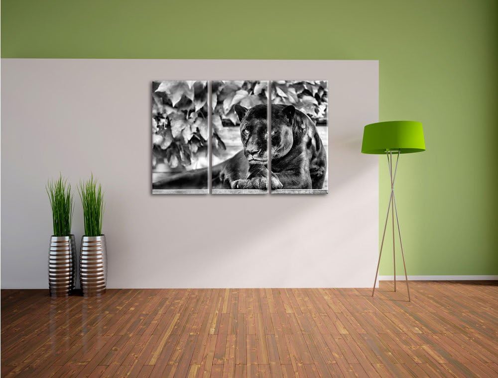 Pixxprint schöner schwarzer Panther als Leinwandbild/Grösse: 3 Teilig (120x80) cm/Wandbild/Kunstdruc