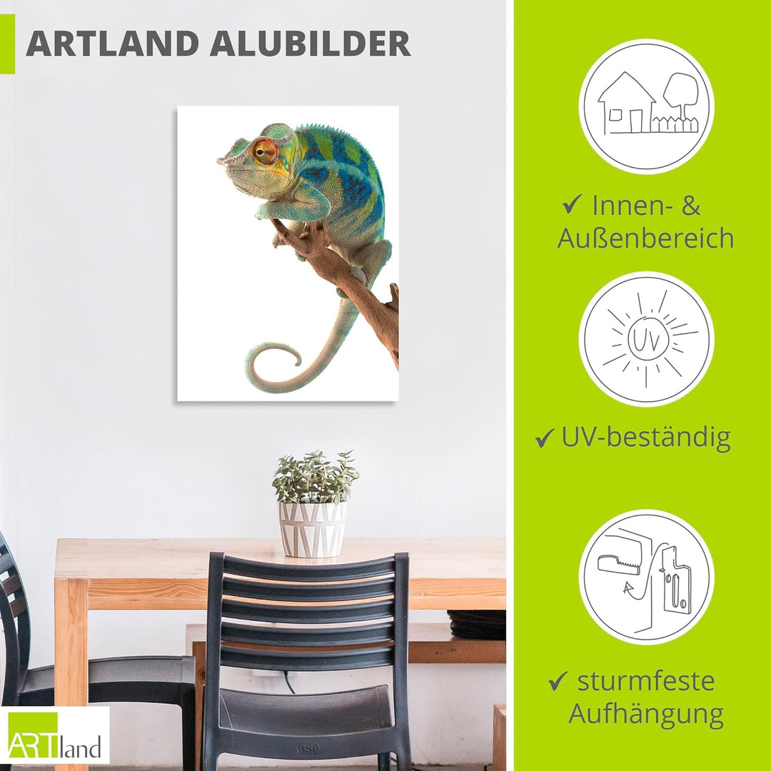 ARTland Wanddeko Wandbild Alu Verbundplatte für Innen & Outdoor Bild 60x80 cm Tiere Reptilien Chamäl