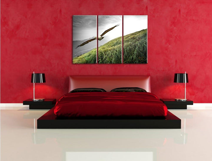 Pixxprint Majestätischer Weisskopfseeadler Schwarz/Weiss 3-Teiler Leinwandbild 120x80 Bild auf Leinw