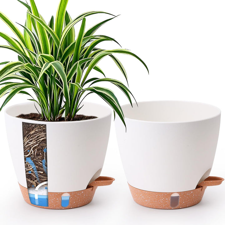 T4U 2er Set Automatische Bewässerung Übertopf 20 cm Durchmesser, Kräutertopf Küche, Kräutertöpfe – g