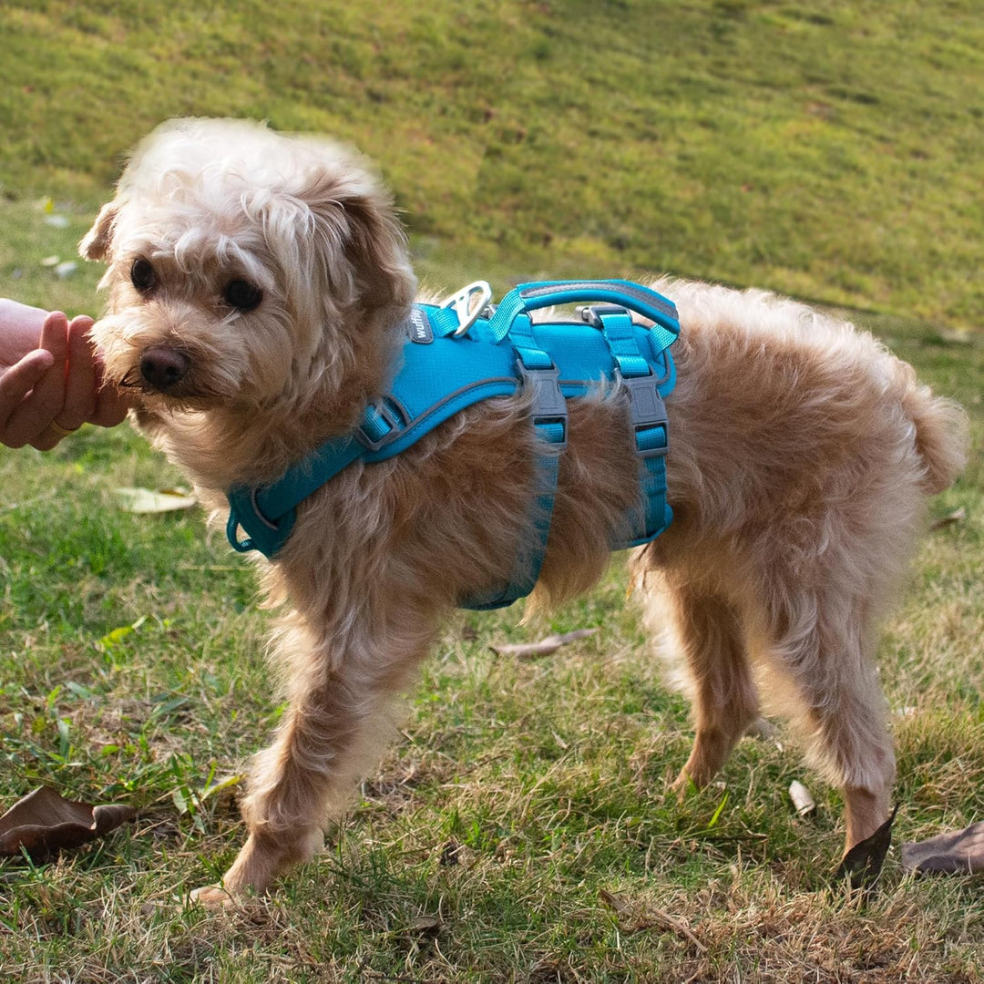 Wuffley Hundegeschirr mit Leine, Sicherheitsgeschirr Hund Ausbruchsicher, Anti Zug Hundegeschirr mit