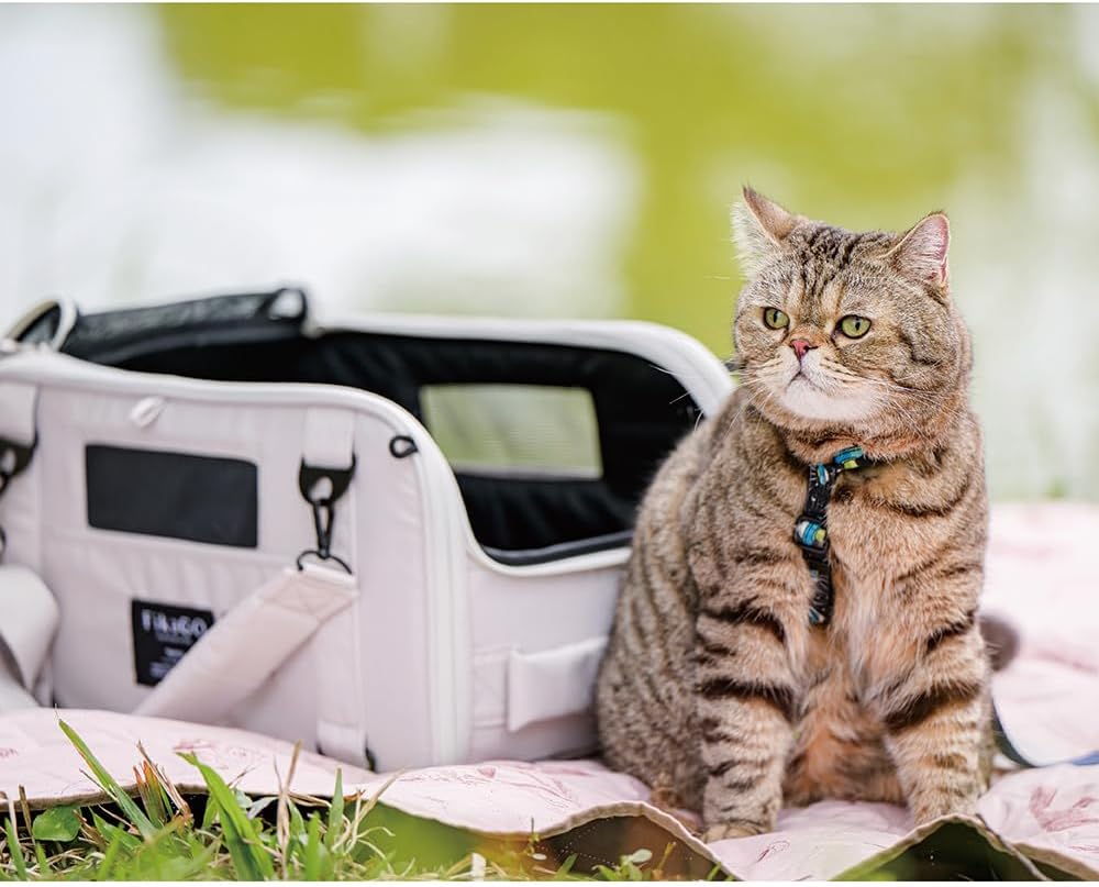 FikaGO 3-in-1 Reise-Tragetasche für Hunde und Katzen Truffle Plus – Rucksack, Schultertasche & Handg