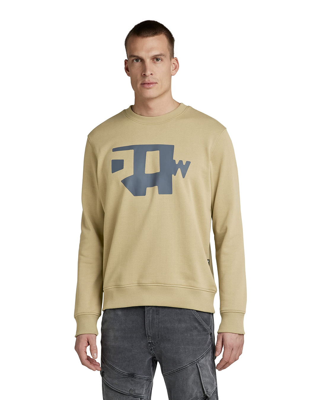 G-STAR RAW Herren Abstract Raw Sweatshirt Sweats S Beige (Tree House D22230-a613-c941), S Beige (Tre