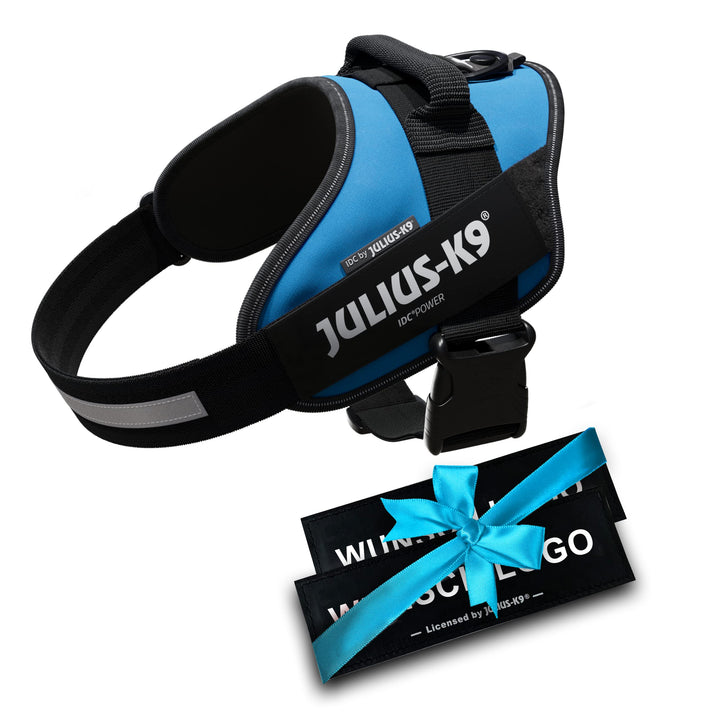 JULIUS K-9 IDC Powergeschirre Aquamarine mit individuelle Klettaufschriften Bundle optionale Grösse,