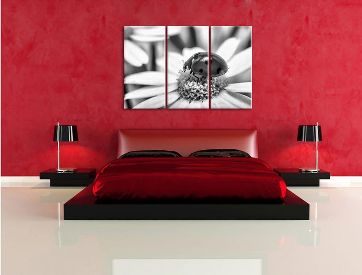 Pixxprint Marienkäfer auf Gänseblümchen als Leinwandbild | Grösse: 3 Teilig (120x80) | Wandbild| Kun