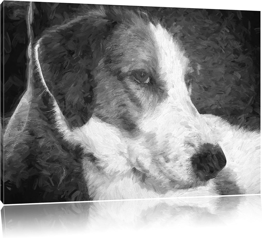 Jack Russel Terrier ruht sich aus Deluxe Format: 100x70 cm auf Leinwand, XXL riesige Bilder fertig g