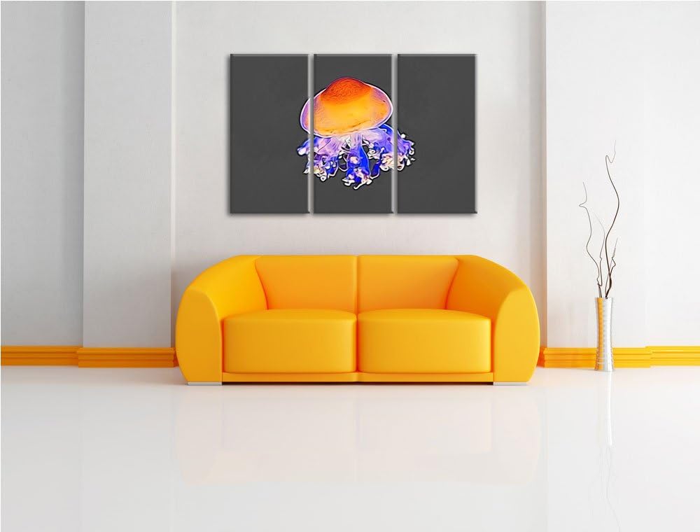 kleine zarte Qualle schwarz/weiss Deluxe 3-Teiler Leinwandbild 120x80 Bild auf Leinwand, XXL riesige