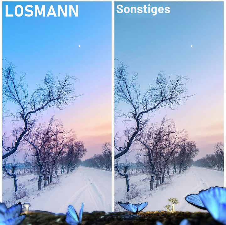 LOSMANN Toner Kompatibel für Samsung P404 CLT-P404C 404S CLT-K404S CLT-C404S CLT-M404S CLT-Y404S für