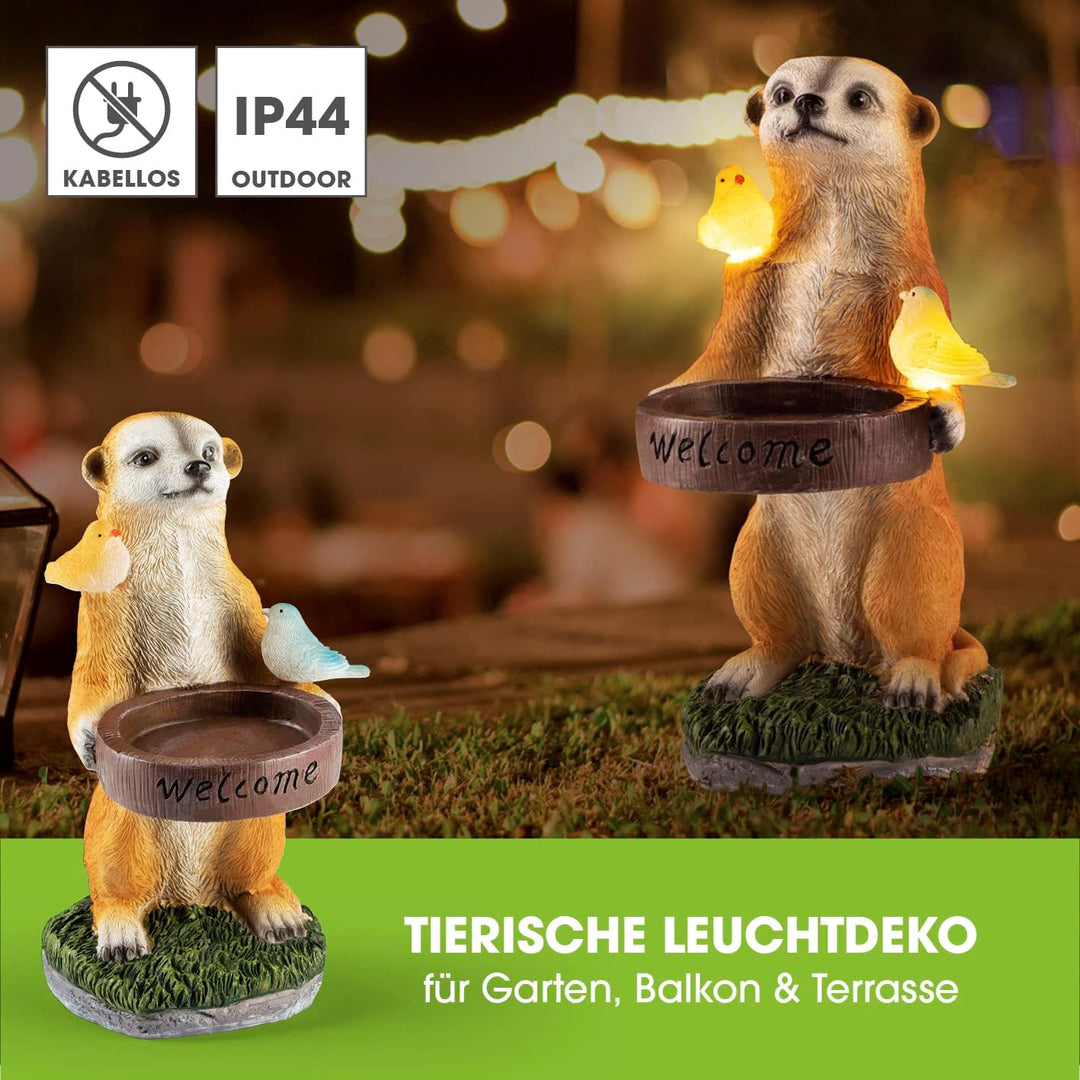 EASYmaxx Solar-LED Erdmännchen als Vogeltränke | Kabellos mit automatischem Tageslichtsensor | Detai