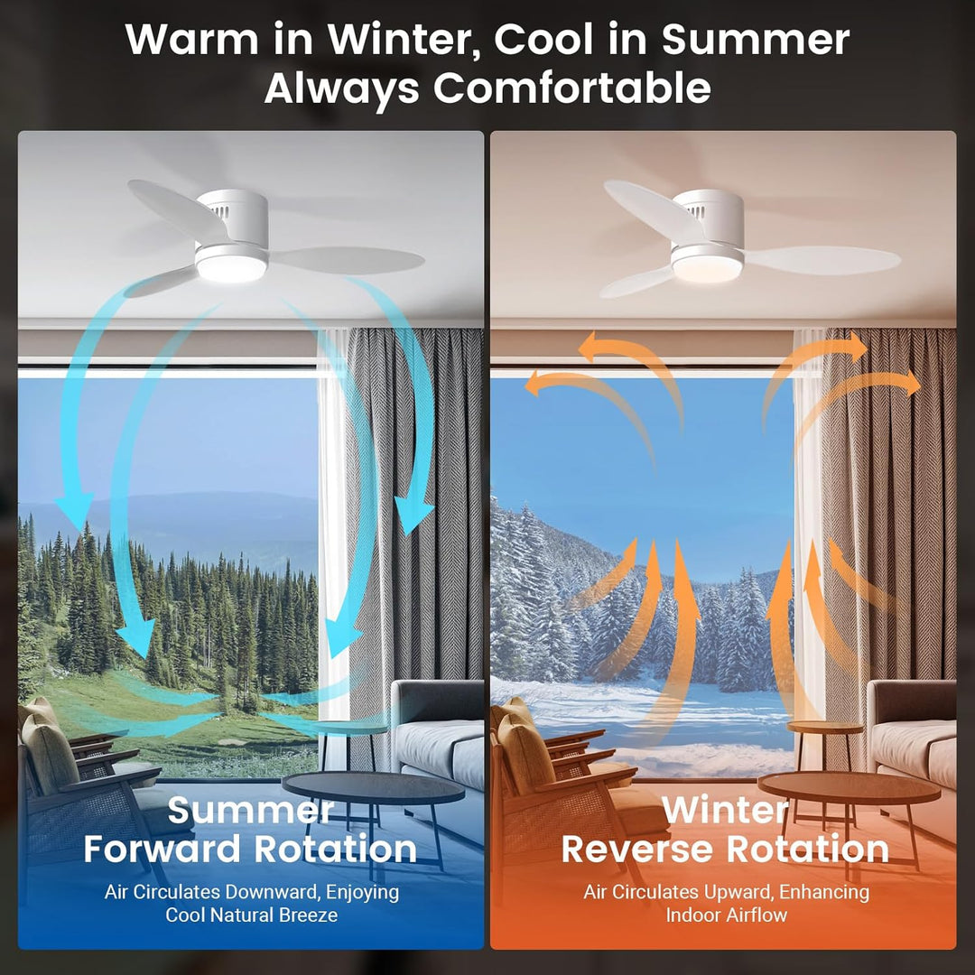 BLITZWILL Deckenventilator mit Beleuchtung, Ø106cm App Steuerung & Fernbedienung Deckenventilatoren