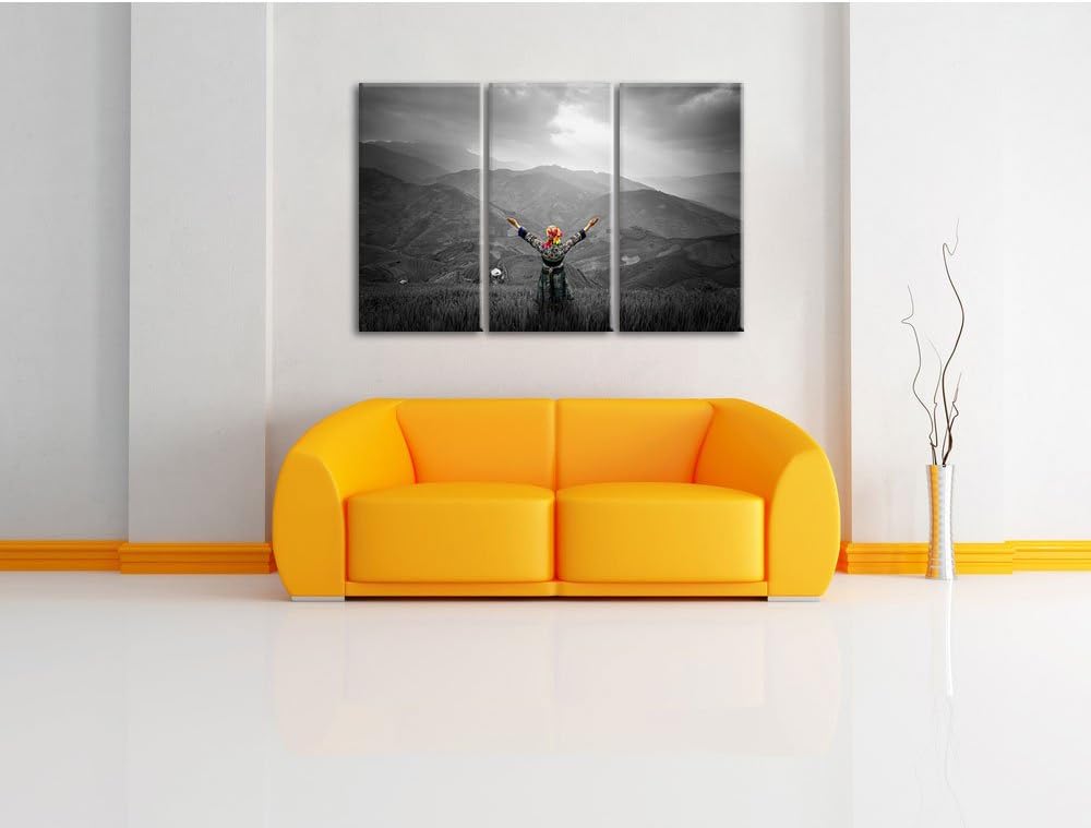 Pixxprint Berg Farm in Asien / 3-Teilig/Gesamtmass 120cm Leinwandbild bespannt auf Holzrahmen/Wandbi